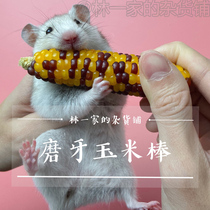 Hamster Snack Corn Cob Molar Teeth Nutrition Chipstick Mouse Golden Bear Peggy Corn Cob Corn Cob