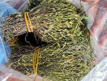 Wild Chinese herbal medicine Monopod golden grass 50g can be boiled soup steamed meat fresh sun-dried monopod sweet monopod citrus
