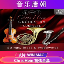 Chris Hein like Song new orchestral solo ensemble