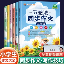 2022 New version 5 senses Law written essay 3 to sixth grade upper register 4th fifth grade synchronized as a literati 2nd grade 2nd grade 2nd grade 2nd grade 2nd grade 2nd grade 2nd grade Primary school students write essay special training for elementary school students writing essay writing skills general writing skills