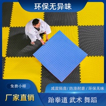 Professional Taekwondo mat thickened training high density dance fighting Hip-hop dojo Martial arts 1 meter foam mat