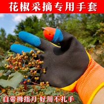 Pick pepper special artifact special gloves Pick pepper folding pepper tool Pinch pepper agricultural thumb knife gloves