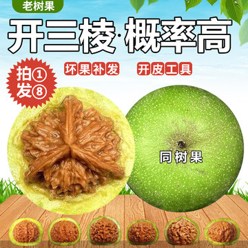 文玩桃核收藏级-文玩桃核收藏级促销价格、文玩桃核收藏级品牌- 淘宝