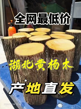 黄杨木原木-黄杨木原木促销价格、黄杨木原木品牌- 淘宝