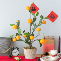 Aying simulation orange tree green plant potted New Year decoration orange fake flower plant Nordic flower plant Nordic Spring Festival living room ornaments