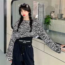 Large size fat sister thin suit Female fried street fashion age reduction foreign style short design sense Stacked two-piece top