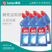 Olive chrysanthemum toilet cleaning liquid fragrance type household toilet toilet cleaning spirit decontamination urine scale cleaner affordable 6 bottles