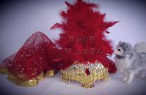 Xinjiang Dance Big Feather Children Adult Indian Dance Belly Dance Arabic Dance Performance Headdress
