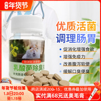 Rabbit Chinchow pig small pet lactic acid mycelin tablets promote digestion anti soft stool conditioning gastrointestinal probiotics 50 tablets