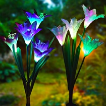 Solar Emulation Thyme Outdoor Landscape Courtyard Home Lawn Plug-in Lamp Garden Villa Decoration Small Night Light