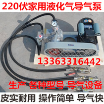 220v liquefied gas pump air guide pump 48v car inverted air pump Air pump air tube gas high pressure pump propane pump