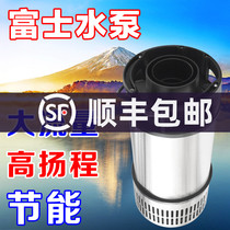 Fuji stainless steel koi fish pond large flow pump high lift landscape pool circulation pump silent pumping pump