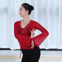 Classical dance body rhyme costume gauze female art Test dance practice uniform folk dance performance costume classroom basic training uniform