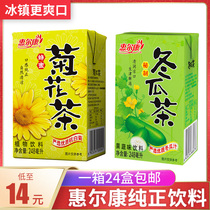Huierkang plant herbal tea drink Chrysanthemum tea Winter melon tea Whole box 24 boxes of refreshing tea drink Summer cooling drink
