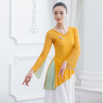 Classical dance clothes female elegant practice clothes costume suit National Chinese dance body rhyme art dance dance dress