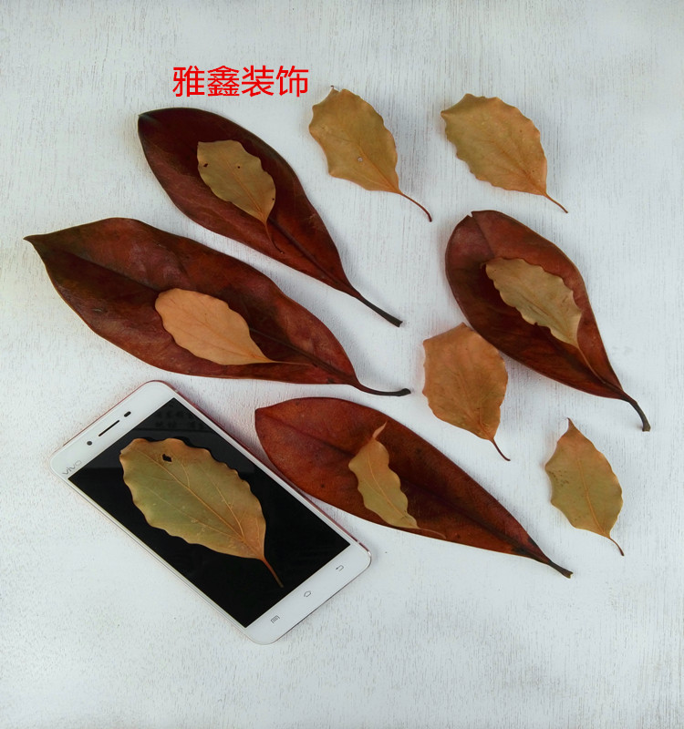 Natural dead leaves Real leaves Fake dead leaves dry flowers wrapped leaves dry leaves retro deciduous leaves photo prop leaves