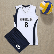 Sleeveless volleyball suit suit Team uniform Mens and womens custom training jersey Match gas volleyball suit Breathable quick-drying sportswear