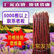 Xinjiang red willow branches Red Willow barbecue barbecue signature mutton skewers skewers skewers