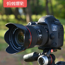  Canon 5d4 SLR Ant Photography Digital HD SLR Camera Professional Advanced