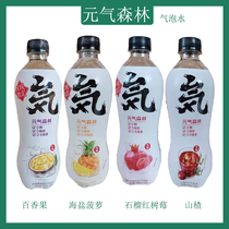 Vitality Forest New product Pineapple Pomegranate Hawthorn Cactus Passion fruit Cherry Blossom 14 flavor bottled sparkling water drink