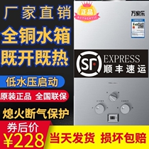 Wan Jiale Gas Water Heater Liquefied Gas Household Strong Exhaust 6L 8L 10L12L Natural Gas Battery