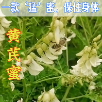 21 years of fresh farm self-produced Inner Mongolia Prairie cherishing medicine nectar yellow honey 500 grams Crown Crown treasure