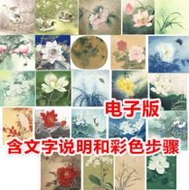 Chinese painting high-definition color picture plus line drawing and step flower and bird works famous electronic version copy manuscript 24 sets of material