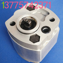 Lift power unit gear pump stacker high car power unit hydraulic pump CBN CBK gear pump
