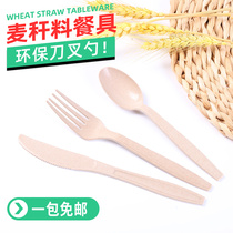 Disposable fork individually packaged salad takeaway commercial knife soup spoon straw food Environmental protection tableware fruit fork