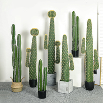 Nordic ins Cactus fairy column simulation plant decoration large fake green plant potted scene indoor floor ornaments