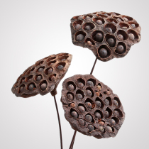 Zen Chinese style with seeds large lotus pod dried flowers real flowers dried dried flowers lotus bouquets air-dried natural dried flowers home furnishings