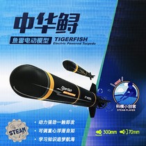 Chinese Sturgeon puzzle assembly electric boat model toy science and education simulation torpedo ship model students extracurricular competition equipment