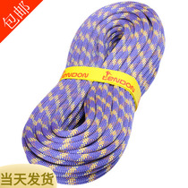 Czech Tendon smart 10mm 10 mm 10 mm 10 10 5mm Power rope main rope rock climbing CE certification