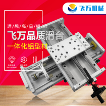 Feiwan heavy duty double line rail profile screw Linear guide slide Electric hand shaking cross vertical cylinder module
