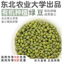 Northeast Agricultural University Non-GMO high-quality fresh bean sprouts heat soup porridge materials fine large organic mung beans
