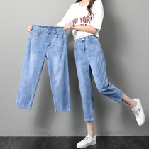 Three-point jeans womens summer new large size loose Harun radish pants eight-point straight high waist daddy pants thin section