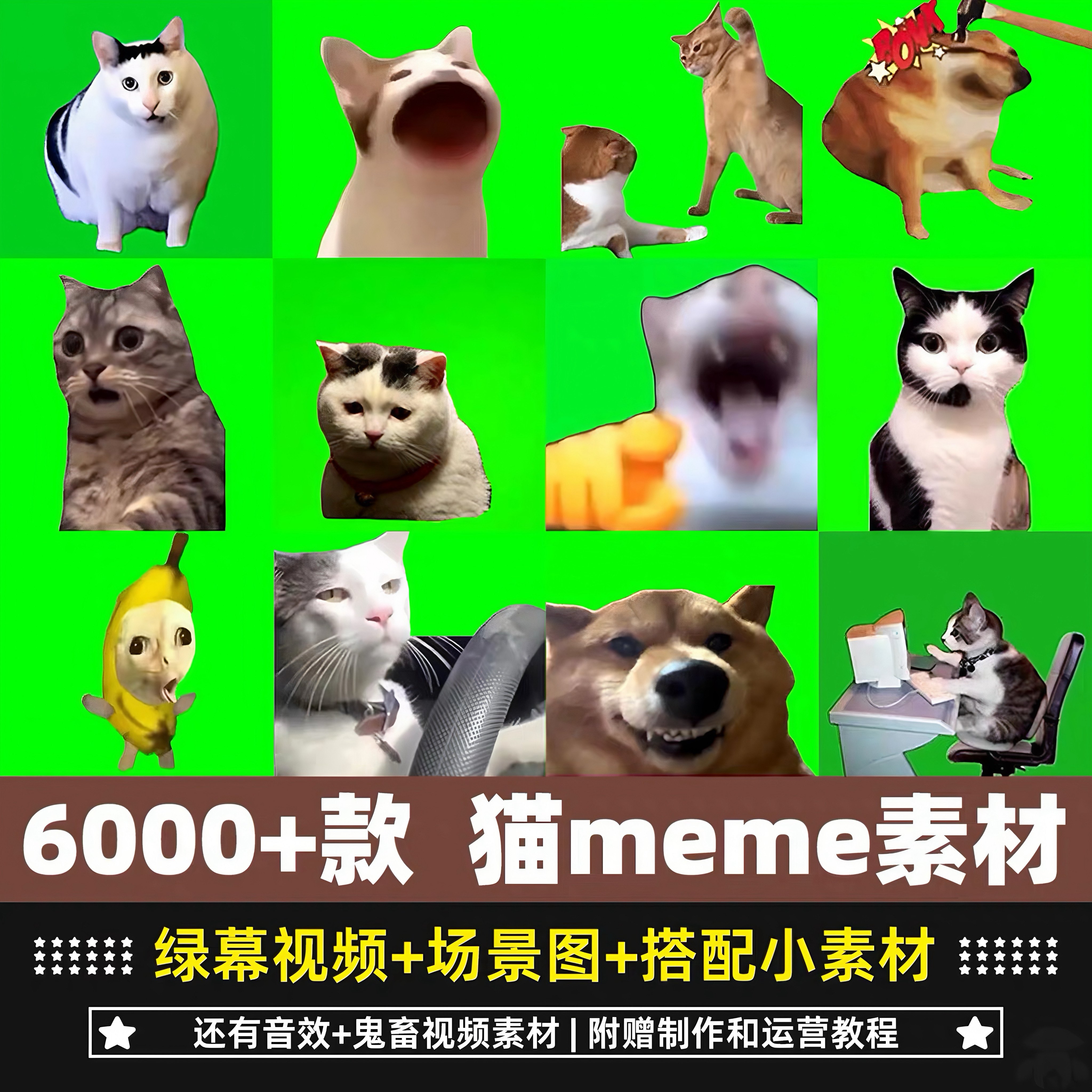 猫meme素材-猫meme素材促销价格、猫meme素材品牌- 淘宝