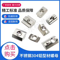 Aluminum profile Stainless steel 304T nut slider Elastic steel ball single point shrapnel European standard National standard M3M4M5M6M8