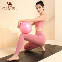Camel Mini Pilates Ball Small Ball Yoga Ball Fitness Ball Body Thick Pregnant Women Yoga Ball