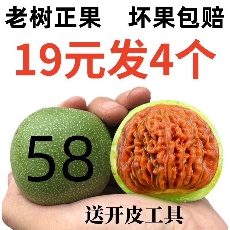 龙纹文玩核桃-龙纹文玩核桃促销价格、龙纹文玩核桃品牌- 淘宝