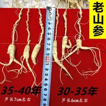 Wild ginseng Disabled ginseng Changbai Mountain forest ginseng 30-40 years old pool base Wild ginseng soaked in wine into the medicine grade mountain ginseng