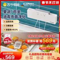 Blue treasure fruit and vegetable washing machine purifier household vegetable washing machine fruit and vegetable food purification machine meat fruit guard 245