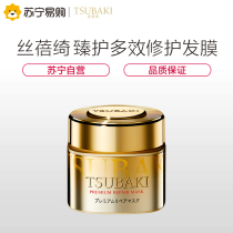 Shiseido Sibeqi Zhen protection multi-effect repair hair mask 180g