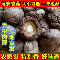 (size optional) 2022 selected mushrooms dry goods Meat Thick Boutique Noodle mushrooms Hubei Teproidogan 500g