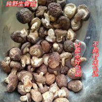 Fresh agricultural products wild super small shiitake mushrooms dry goods money mushrooms edible deep mountain mushrooms bulk specialty 500g