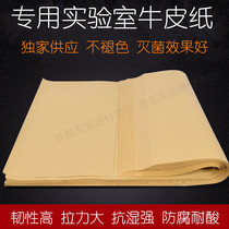 Special Kraft paper scientific research experiment medicine biochemical sterilization weighing trapped high temperature resistance and moisture resistance