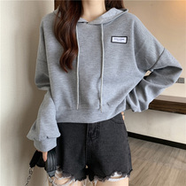 Autumn 2021 New loose hooded sweater design sense small female early autumn chic lazy short top