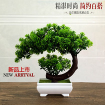 Indoor living room room wine cabinet decoration simulation plastic fake flower home potted suit jewelry table ornaments