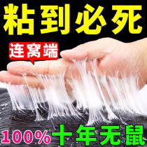 Sticky mouse paste (one paste top four stickers) super strong thickening and thickening mouse killing rat rodent trap board artifact