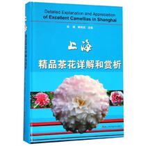 Shanghai boutique Camellia detailed explanation and appreciation Zhang Bin Feng Shucheng